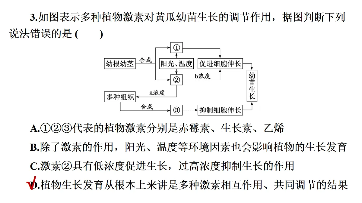 17424675第8页
