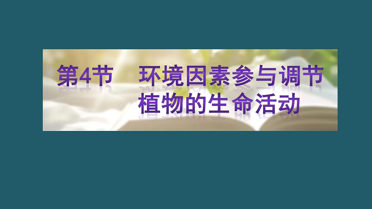 17424676第1页