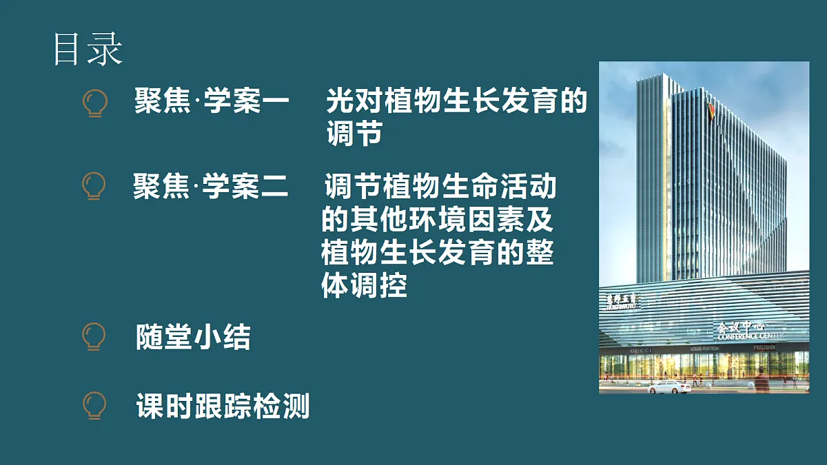17424676第3页