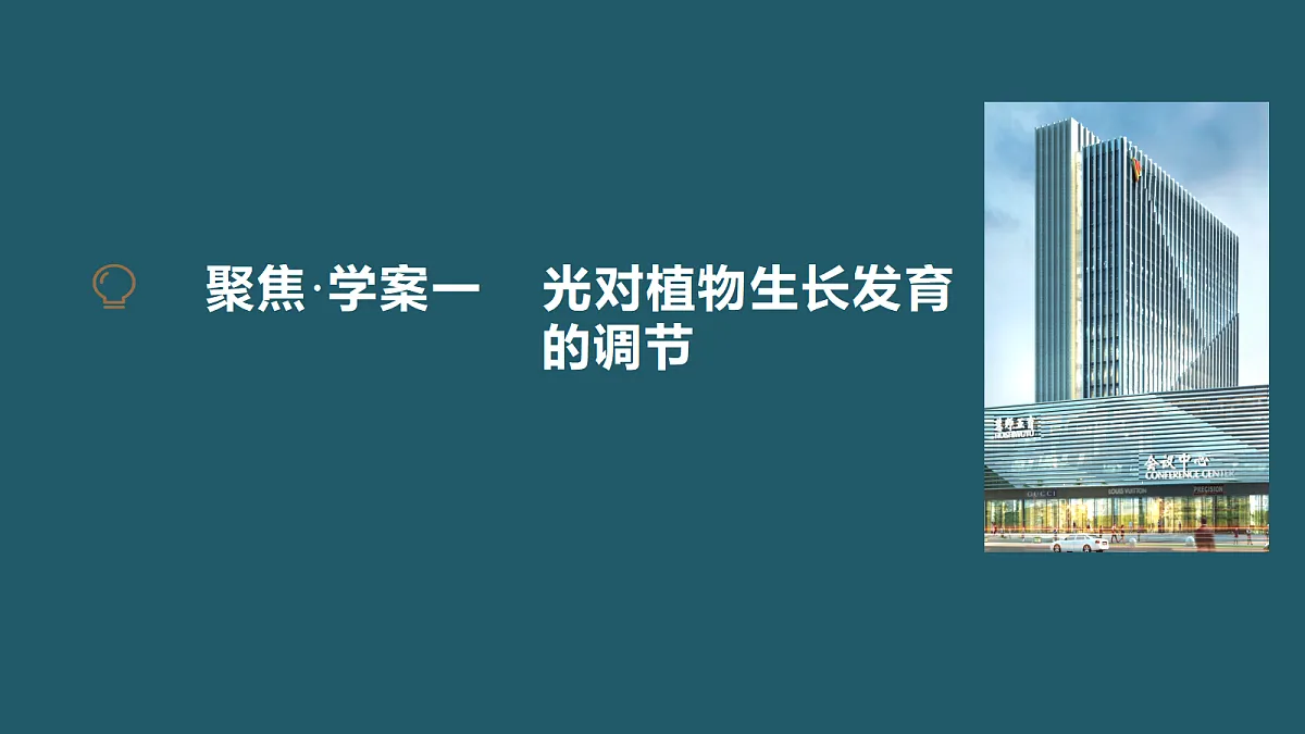 17424676第4页