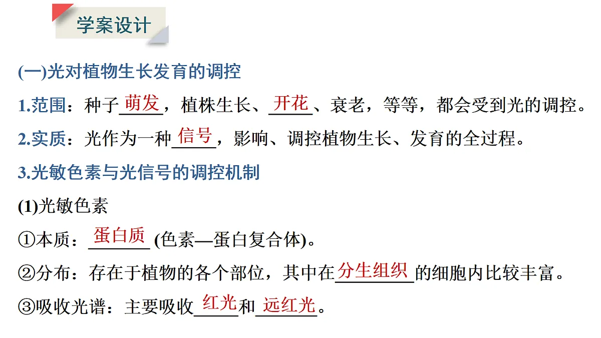 17424676第5页
