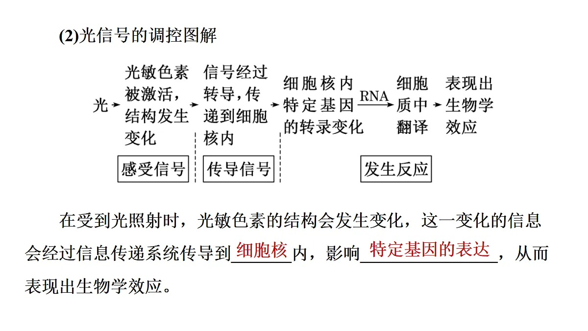 17424676第6页