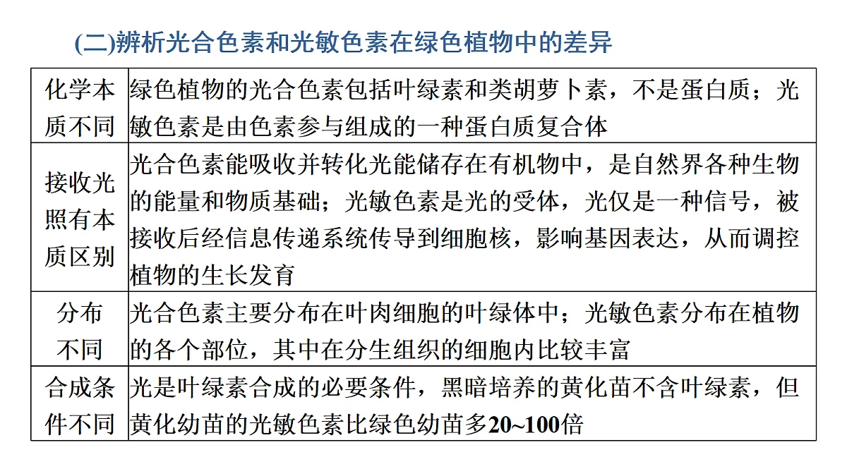 17424676第7页