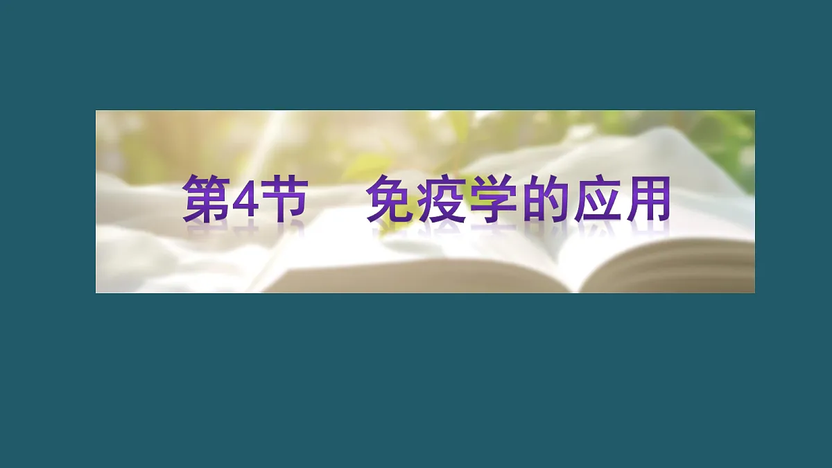17424681第1页