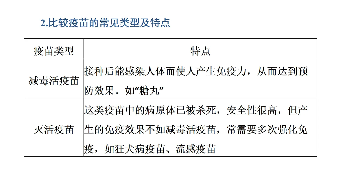 17424681第6页