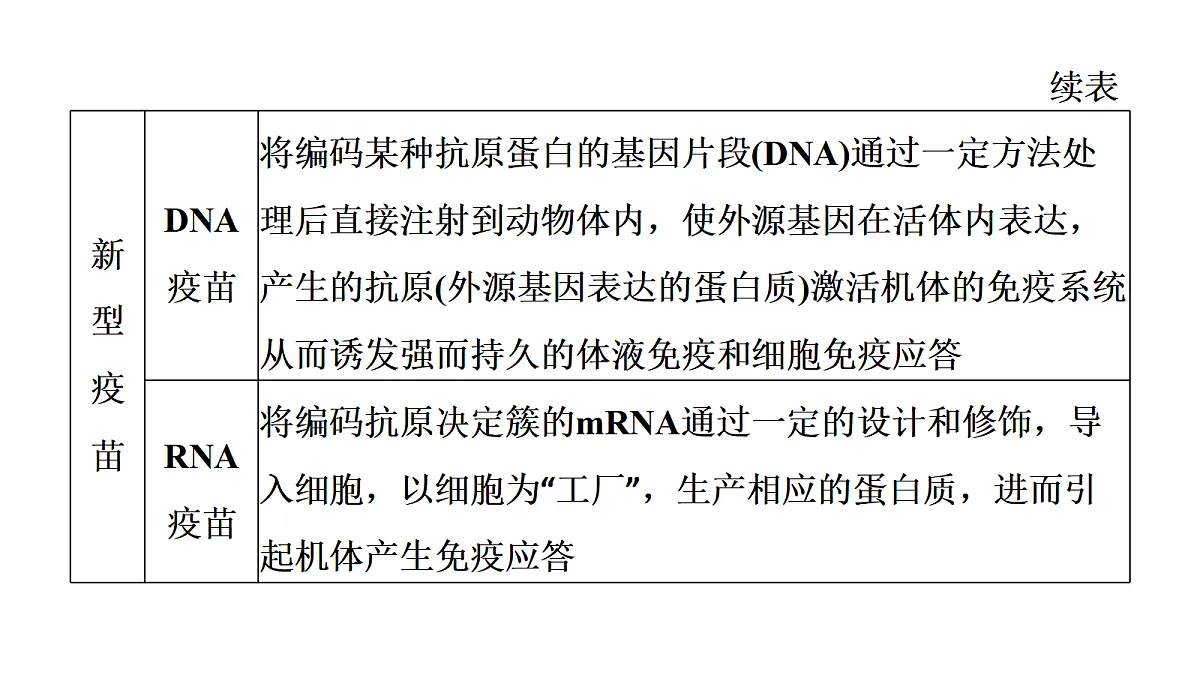 17424681第7页