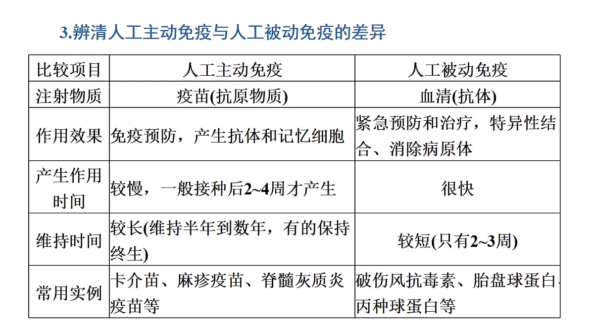 17424681第8页