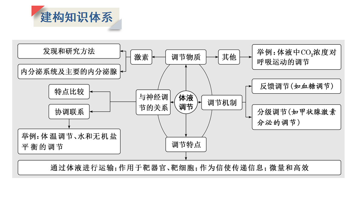 17424685第2页