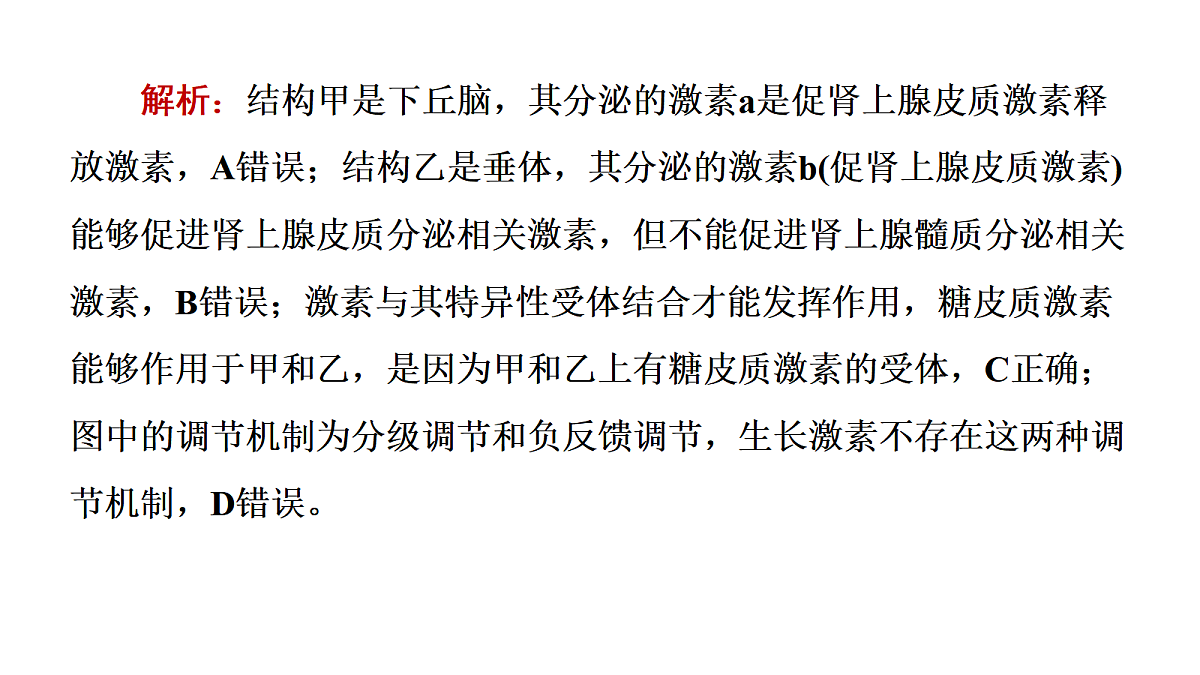 17424685第7页