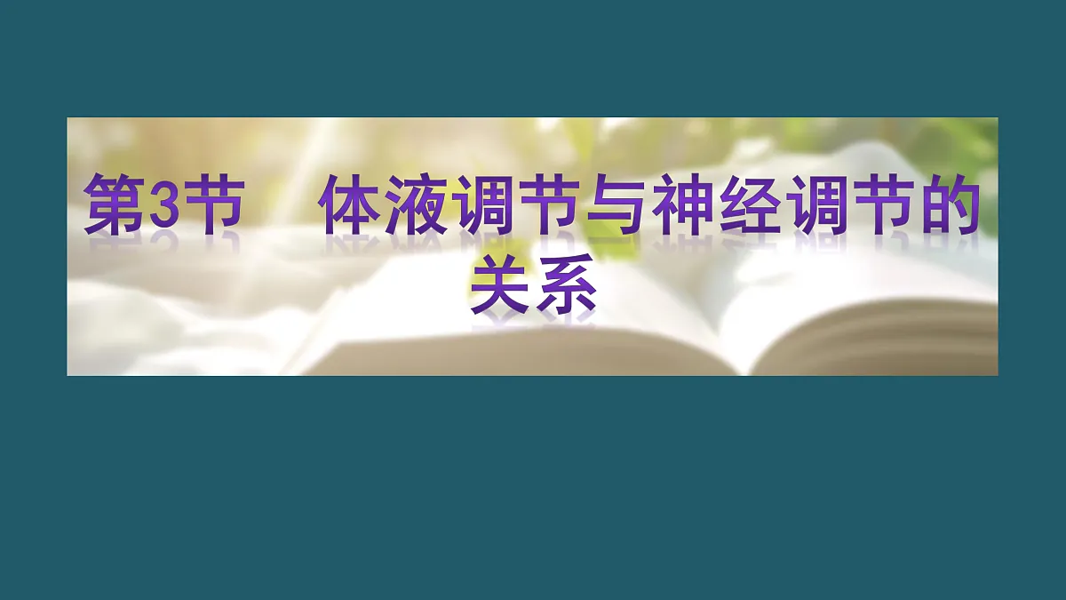 17424686第1页