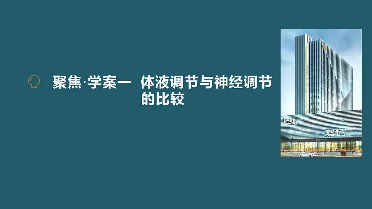 17424686第4页