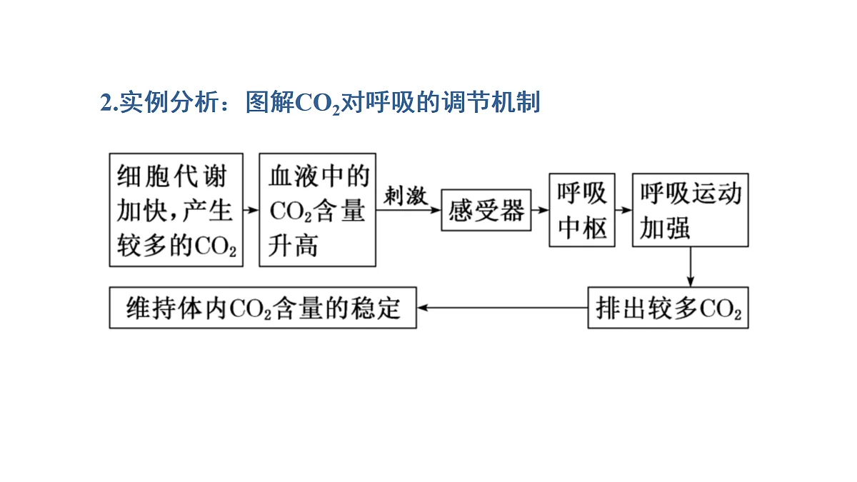 17424686第6页