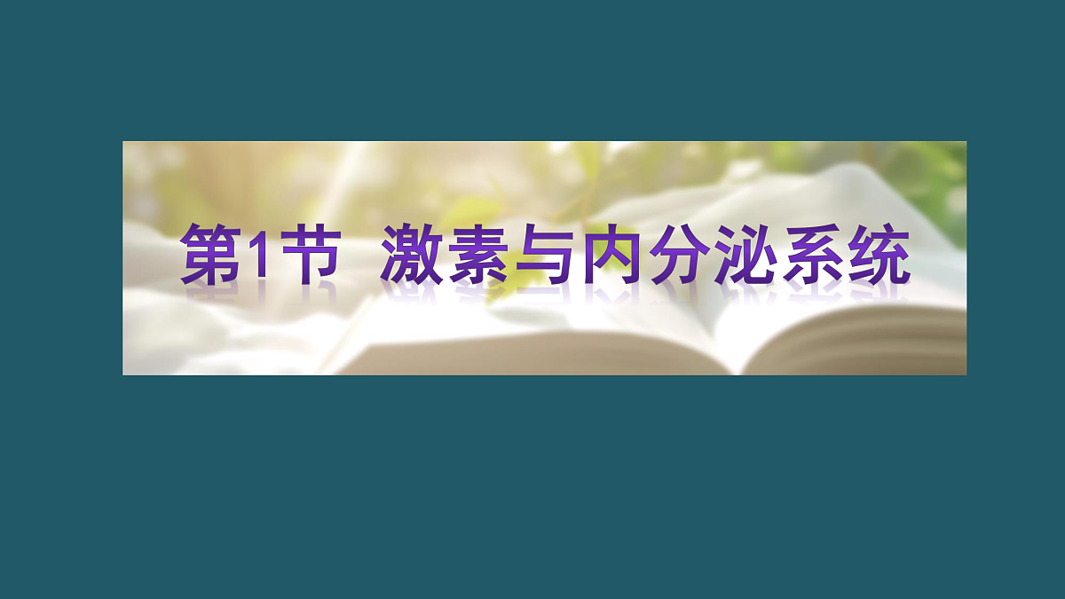 17424688第3页