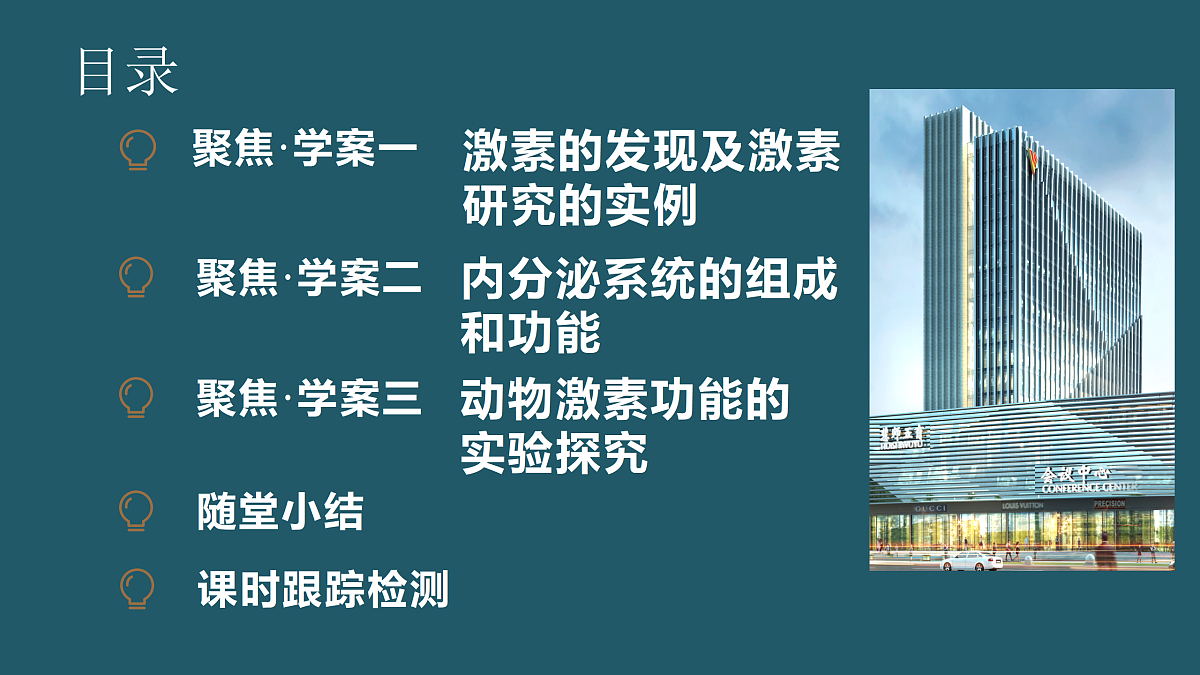 17424688第5页