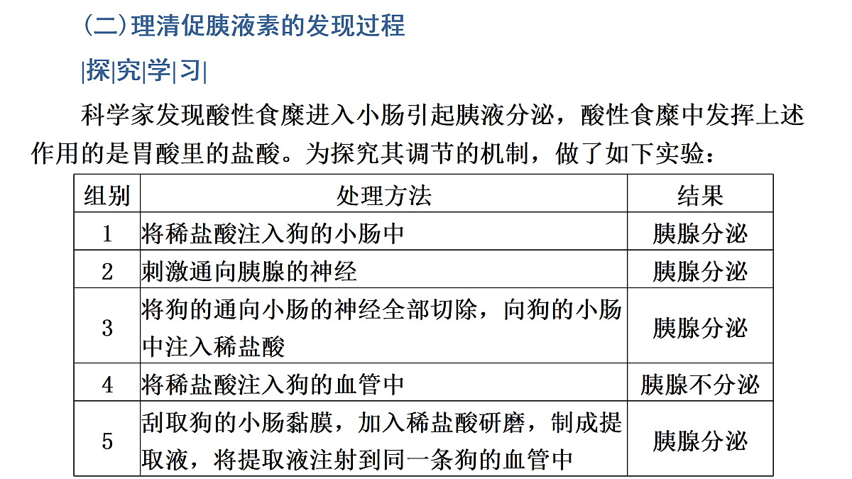 17424688第8页