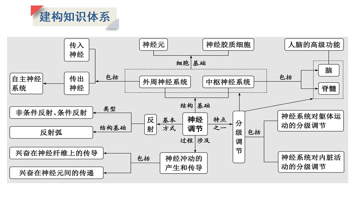 17424689第2页