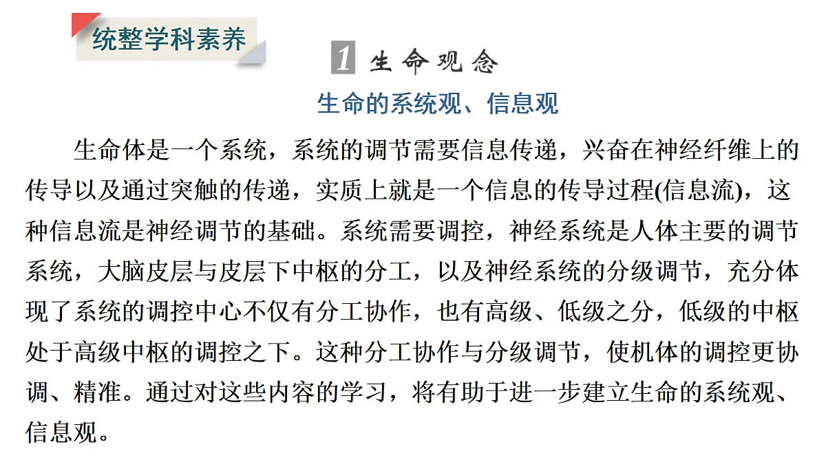17424689第3页