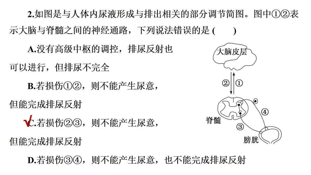 17424689第6页