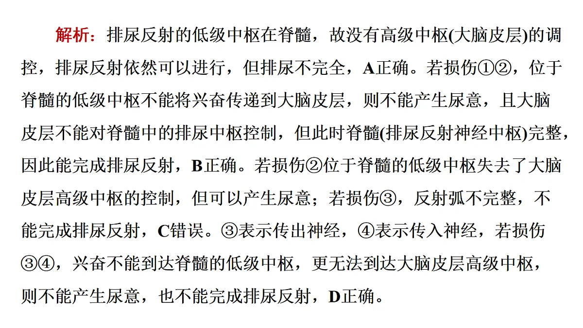 17424689第7页