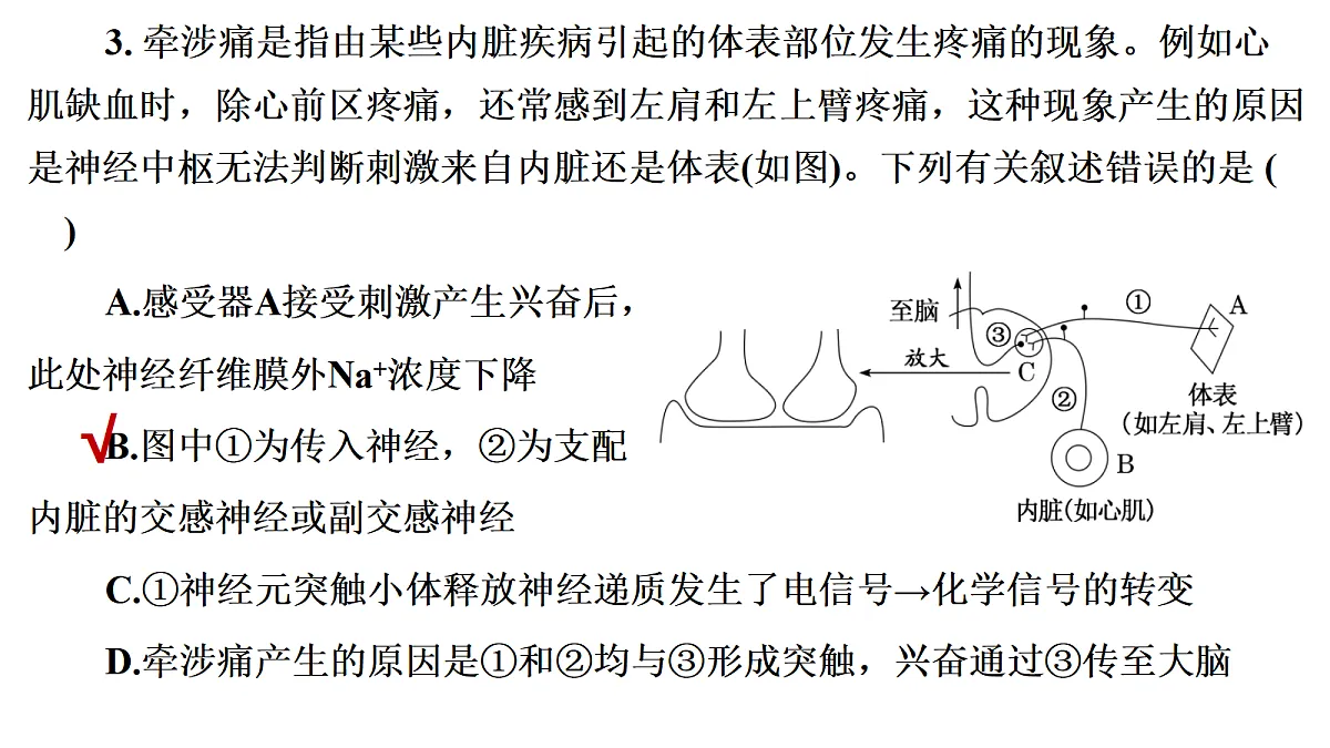 17424689第8页