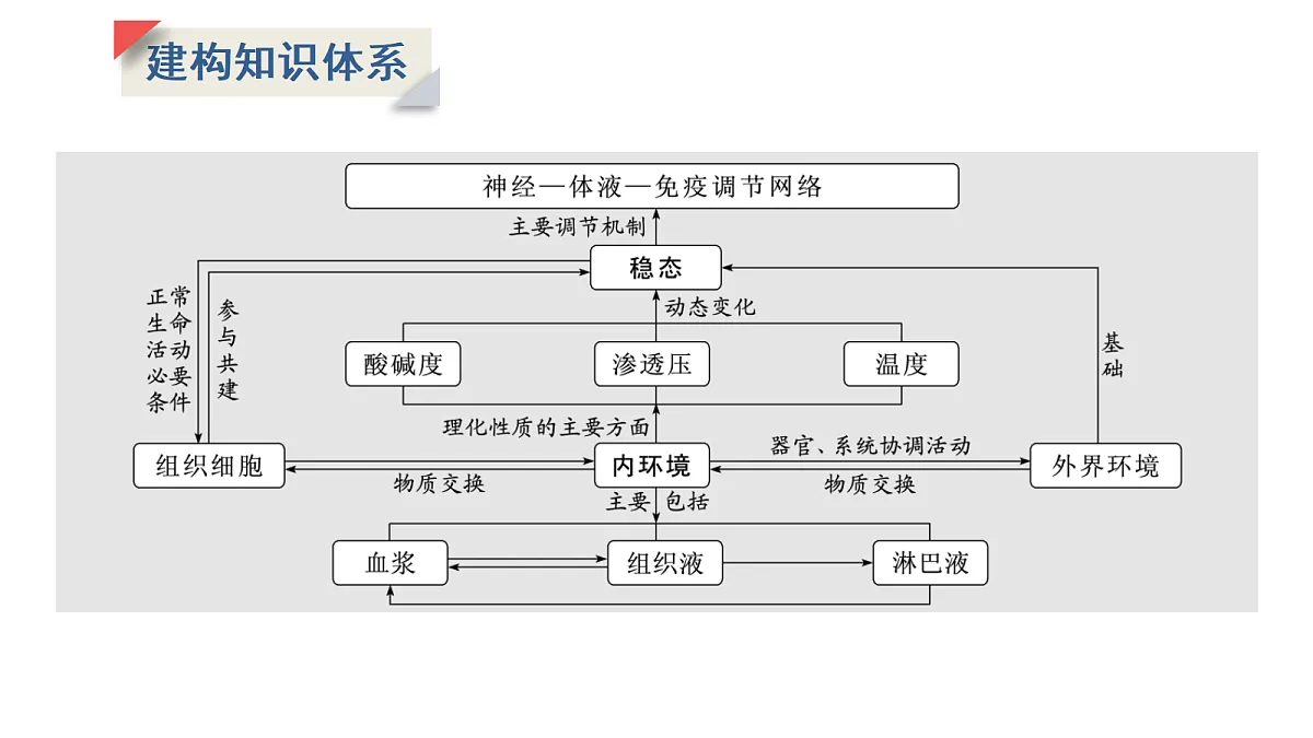 17424695第2页