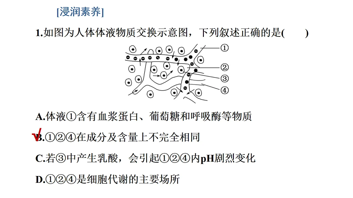 17424695第4页
