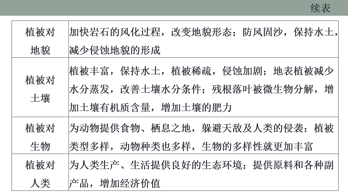 17424728第5页