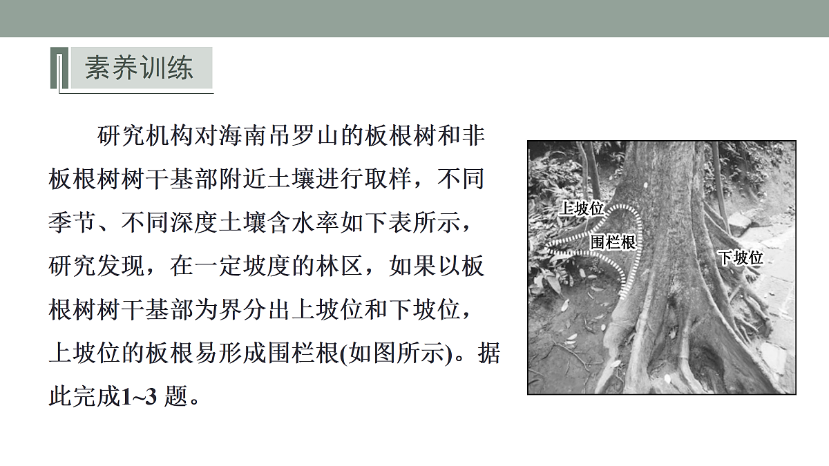 17424728第6页
