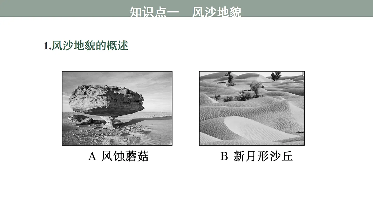 17424730第5页
