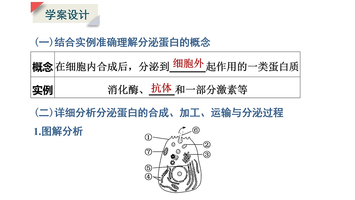 17424743第4页