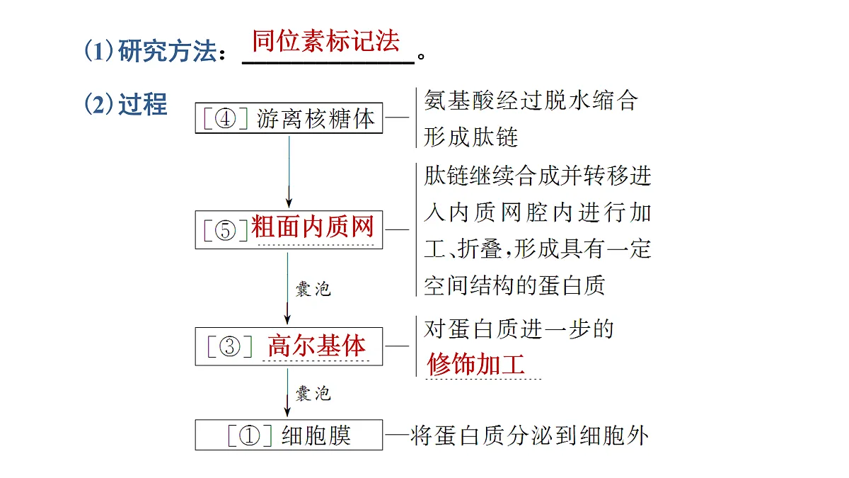17424743第5页