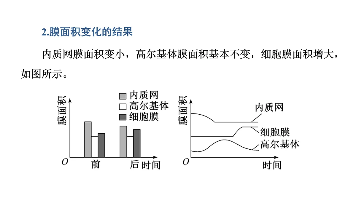 17424743第8页