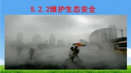 5.2.2 維護生態(tài)安全 課件 2025-2026學年人教版生物八年級上冊