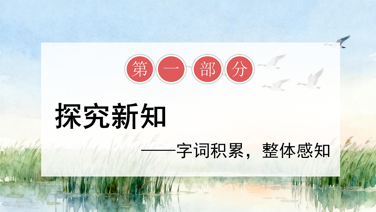 17428276第8页