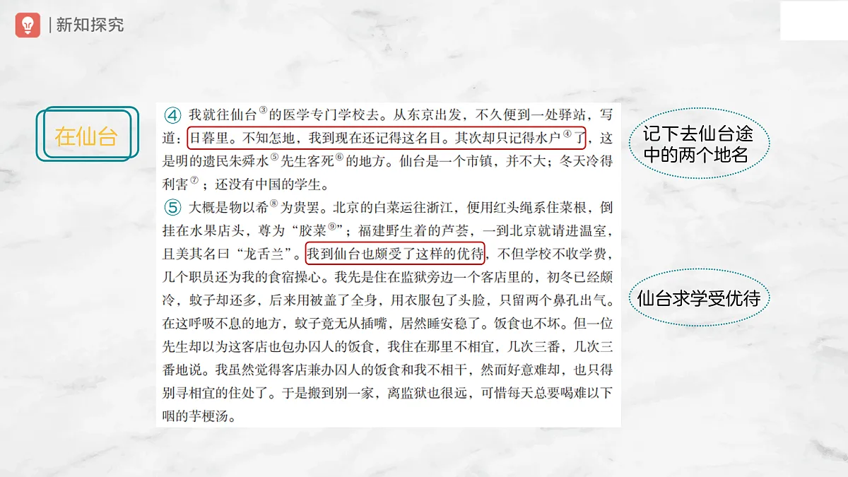 17428942第8页