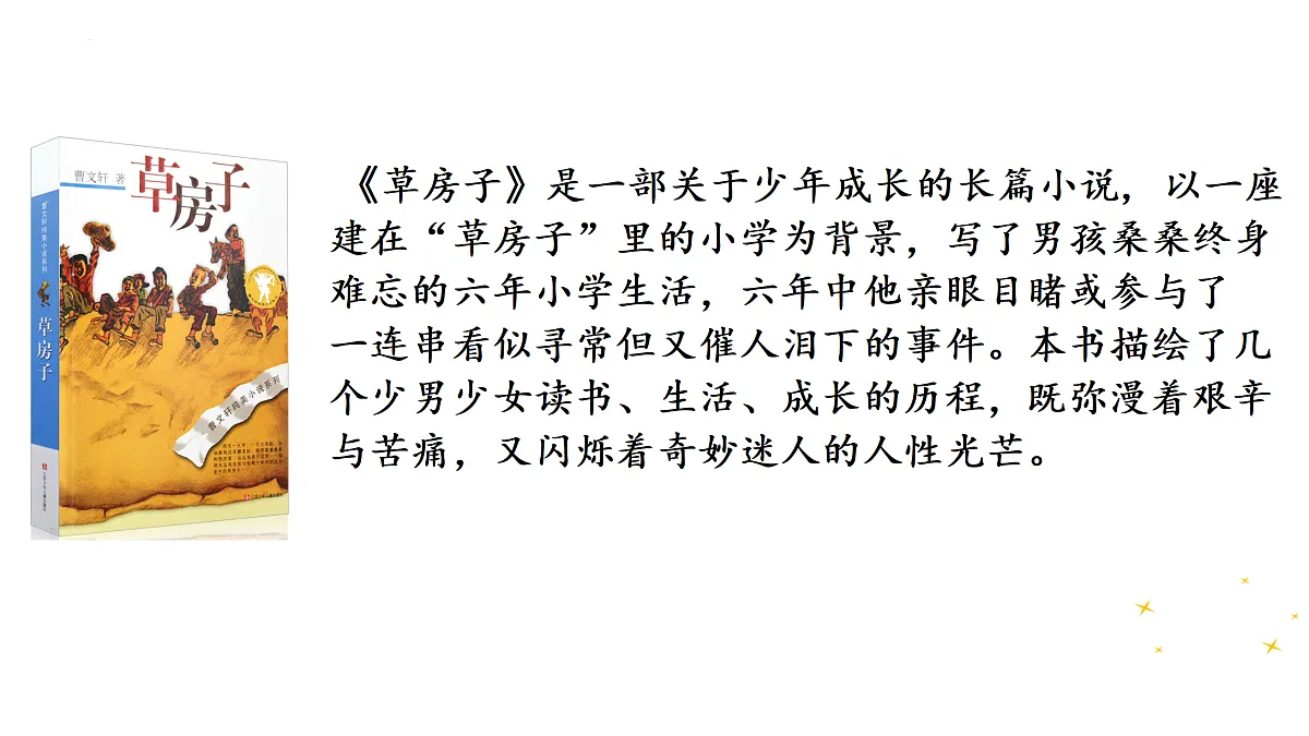 17428943第7页
