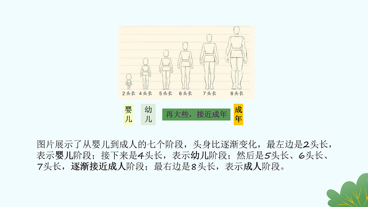 17429119第3页