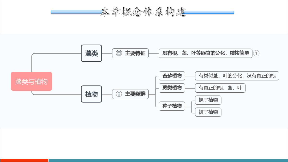 第7章 藻类与植物类群(复习课件)第2页