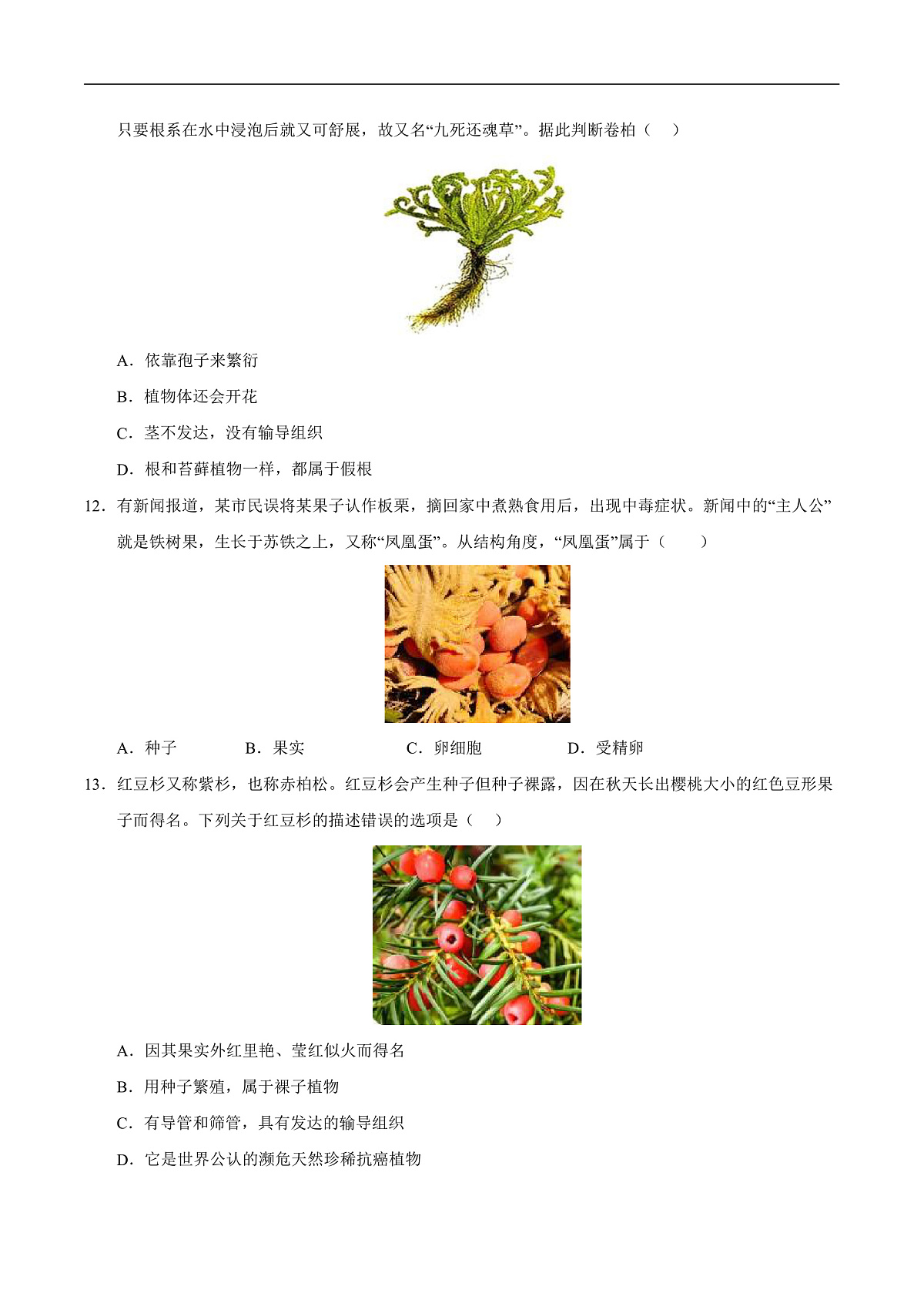 第7章 藻类与植物类群(章末测试)(原卷版)第3页