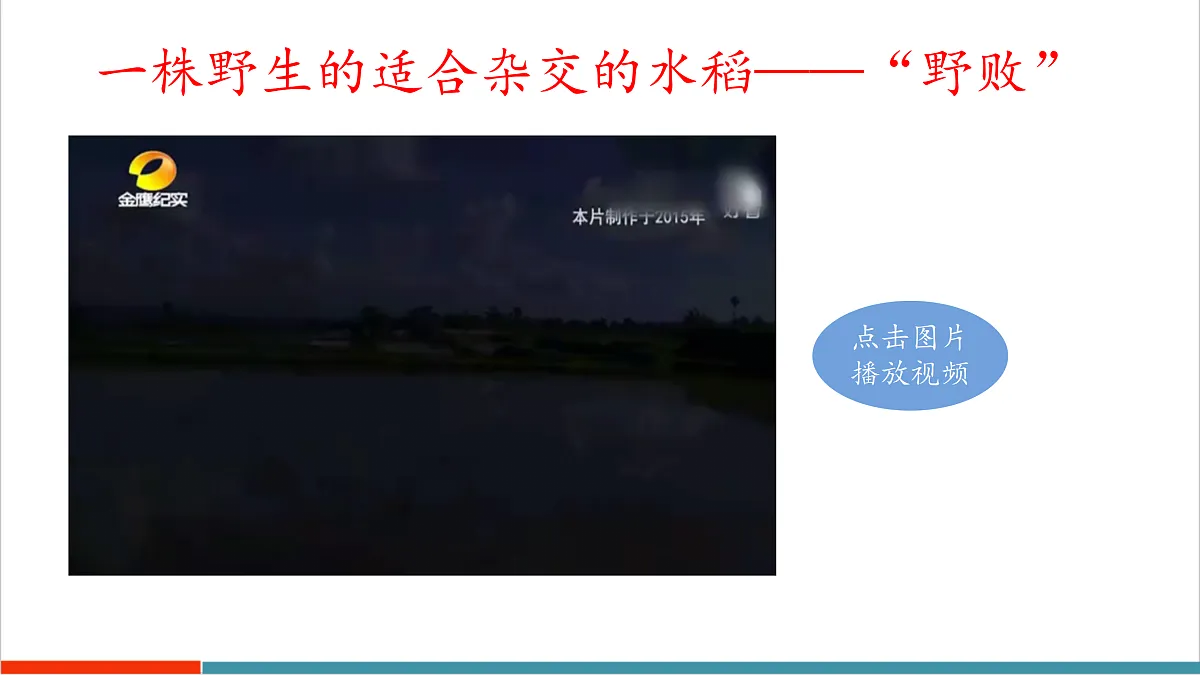 10.1 认识生物多样性第5页