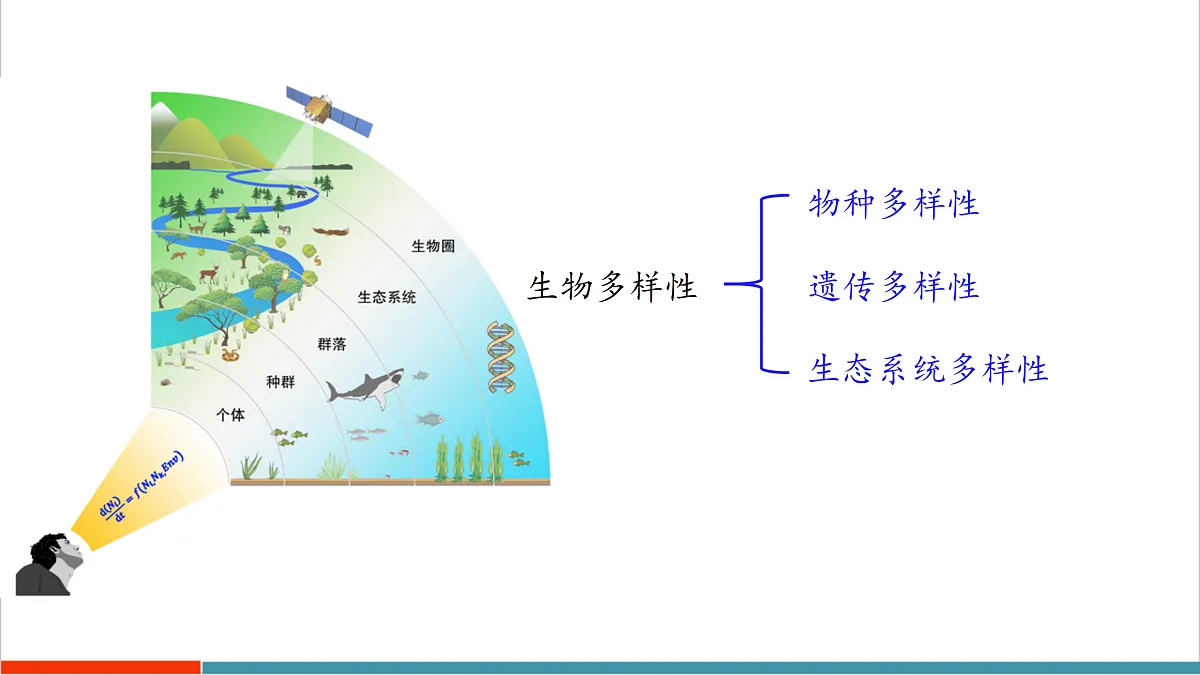 10.1 认识生物多样性第7页