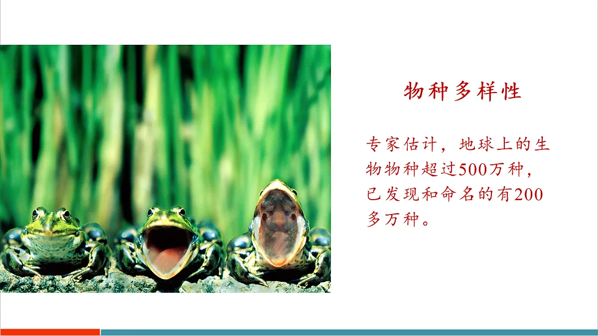 10.1 认识生物多样性第8页