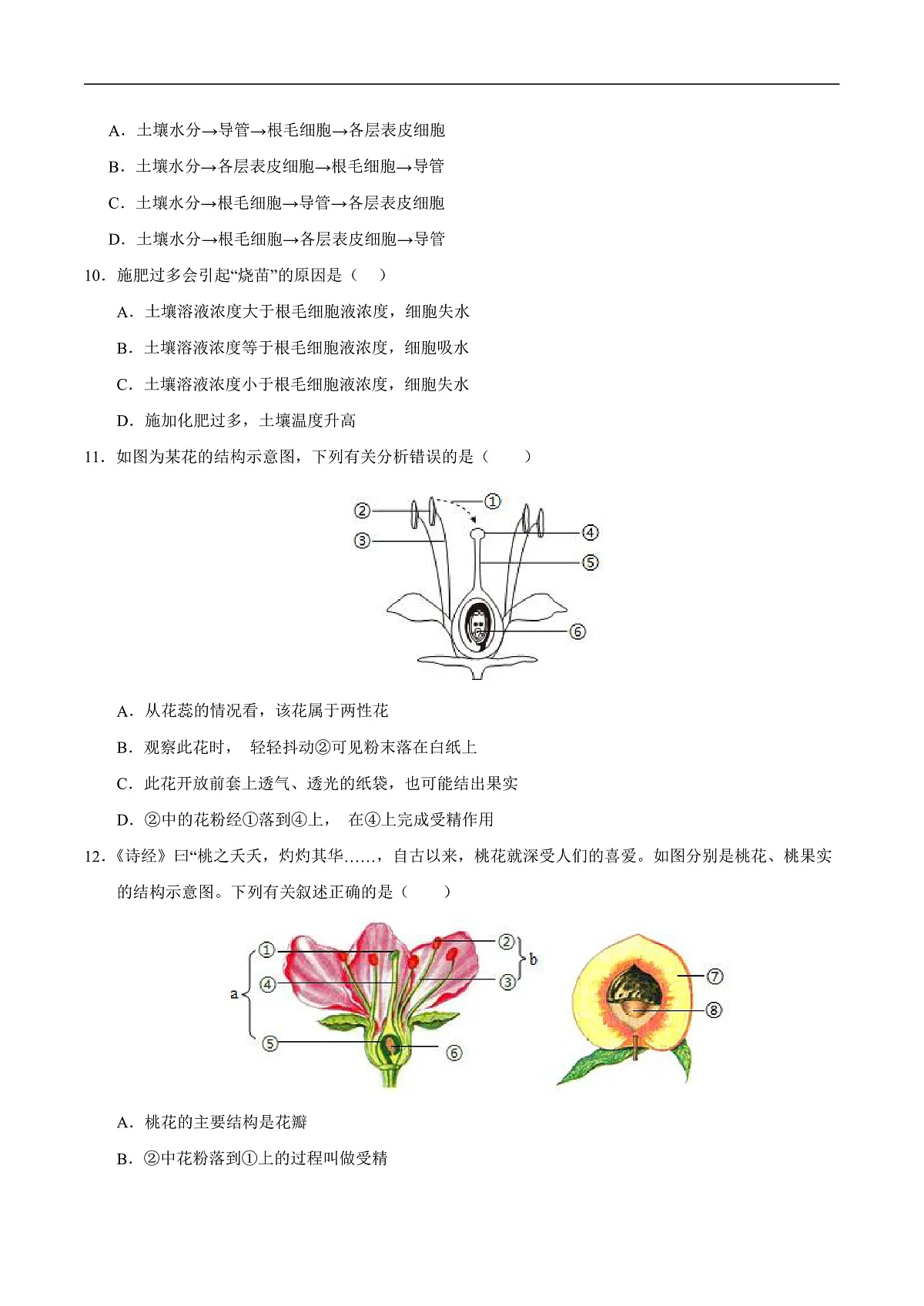 第11章 植物的生命周期(章末测试)(原卷版)第3页