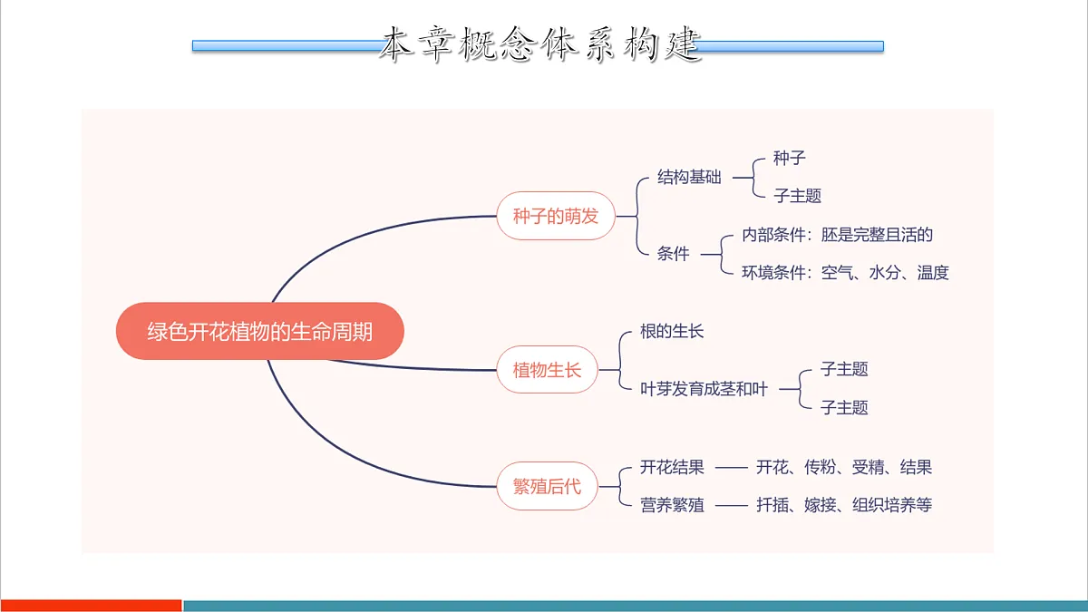 第11章 植物的生命周期(复习课件)第2页
