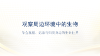 初中生物人教版（2024）七年级上册（2024）观察周边环境中的生物图片ppt课件