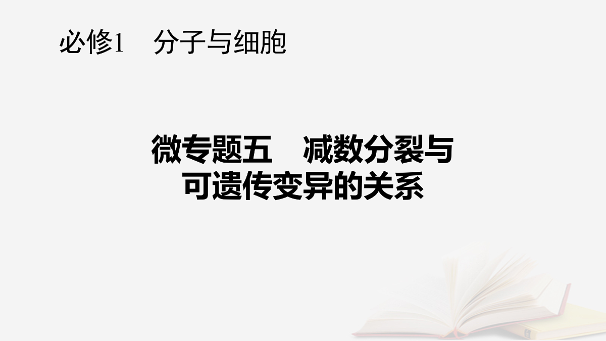 17432334第1页