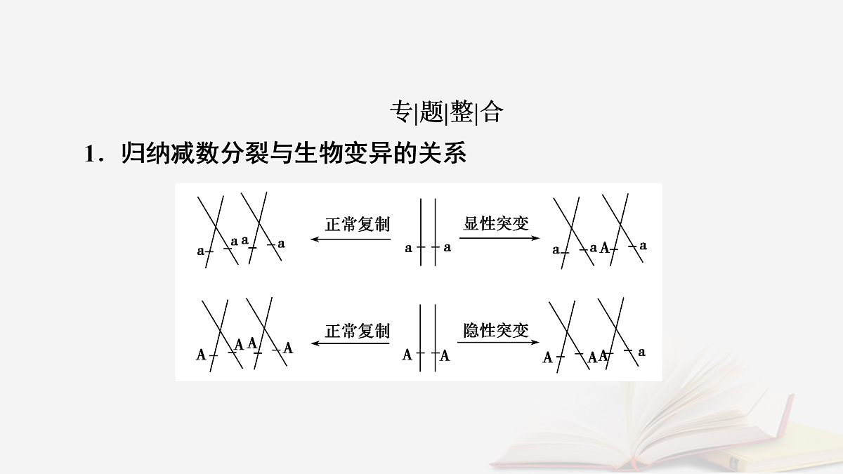 17432334第2页