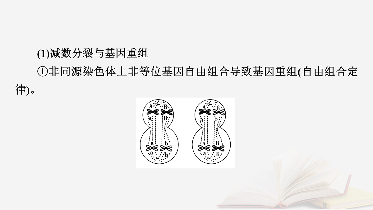 17432334第3页