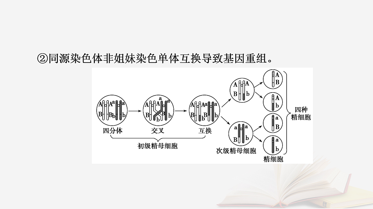 17432334第4页