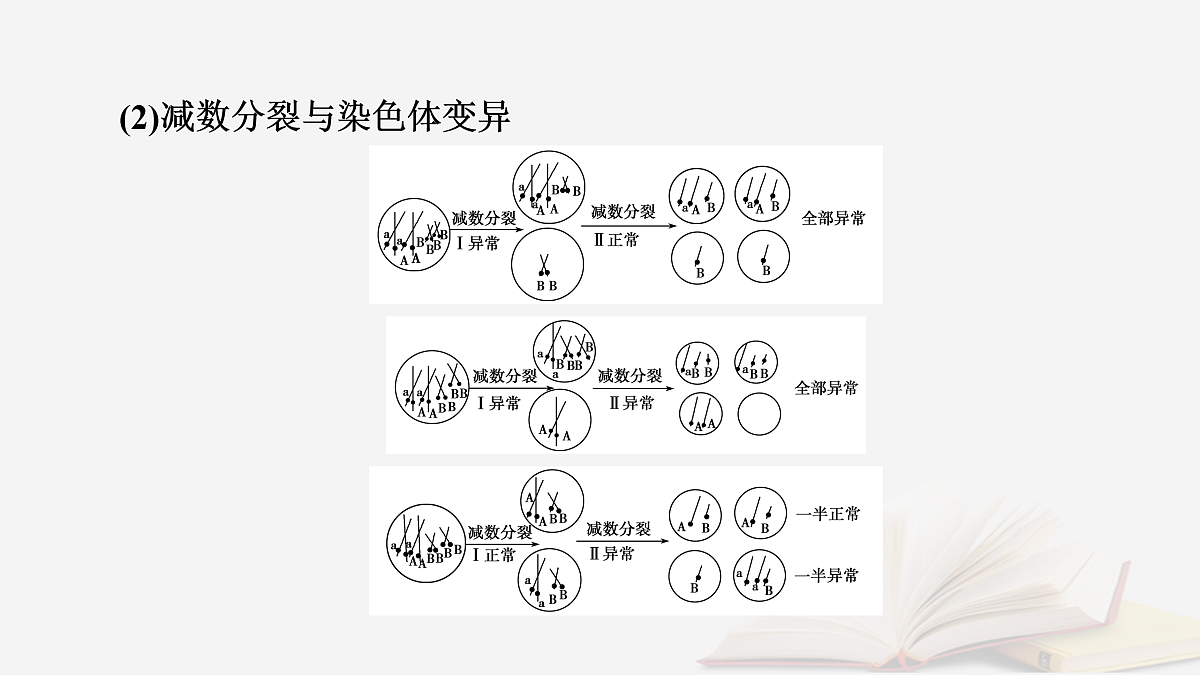 17432334第5页